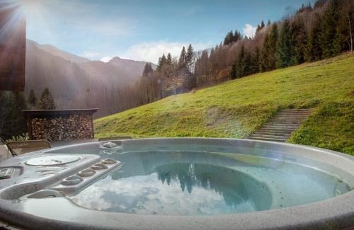 Samoens Ski Chalet | Chalet Les Pellys - OVO Network