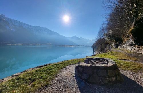 Beatenberg Apartment | Chalet Lilo 4 Zimmer big View