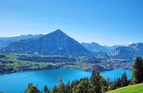 Beatenberg Apartment | Chalet Lilo 4 Zimmer big View