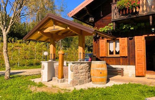 Forni di Sotto Ski Chalet | Chalet Relax Tra Le Vigne
