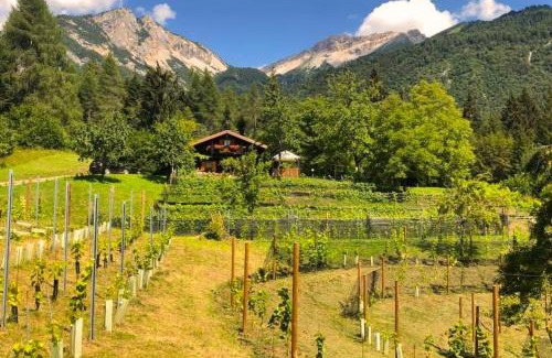 Forni di Sotto Ski Chalet | Chalet Relax Tra Le Vigne