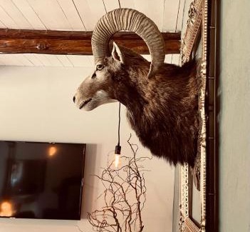 Markranstaedt House | Chalet Sch-l-afbock