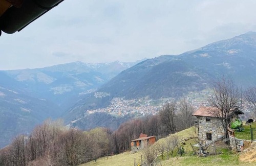 Cusino House | Chalet surrounded by greenery