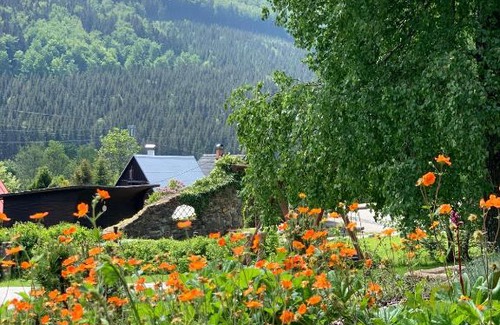 Loucna nad Desnou House | Chalupa BožíKout - Kouty nad Desnou
