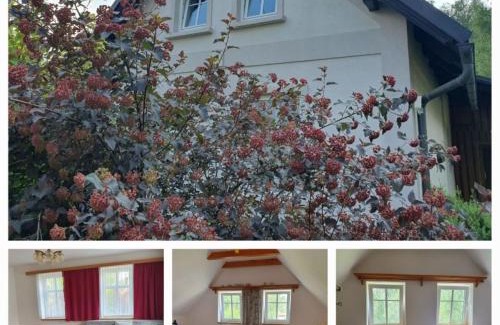 Rudnik u Vrchlabi House | Chalupa Pěkný den