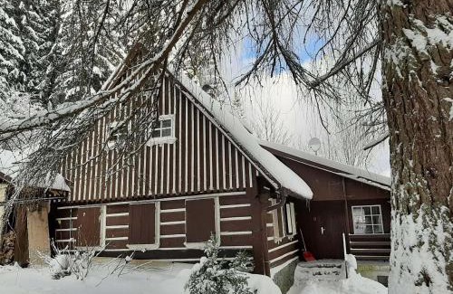 Korenov House | Chalupa pod Modřínem