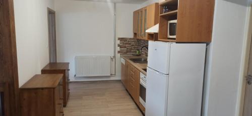 Bela pod Pradedem Apartment | Chalupa U Jezu Bělá