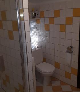 Vichova nad Jizerou Ski Chalet | Chalupa u Vyšanských