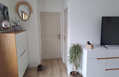 Aigrefeuille-d'Aunis House | Chambre d hôte la rivière 45m2 jardin et piscine
