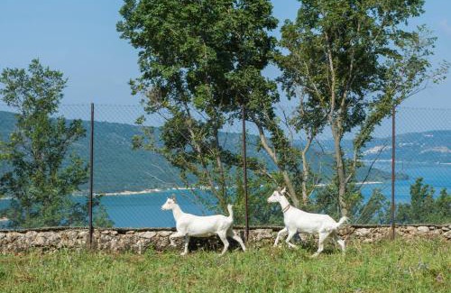 Aiguines Bed & Breakfast | Chambre d'hotes - Ferme de Chanteraine