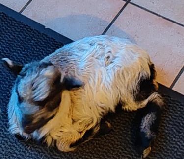 Saint-Martin-de-Gurson House | Chambres d' Hôtes des Glands ' heures