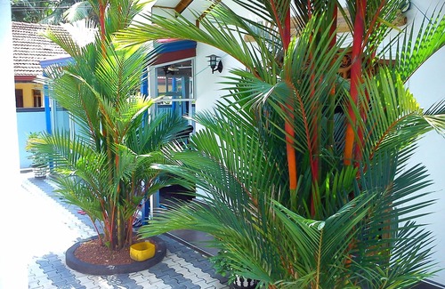 Hettimulla Apartment | Chamo Villa near the Moragalla beach Beruwala