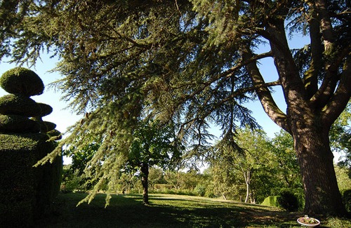 Cangey Cottage | Character house with garden, air conditioning and bikes near Amboise