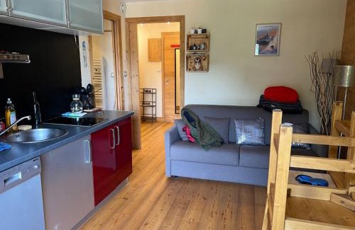 Valloire Apartment | Charmant Studio Cabine 4 Pers, Centre de Valloire, Proche Télécom./Commodités, Casier à Skis/Balcon - FR-1-263-535