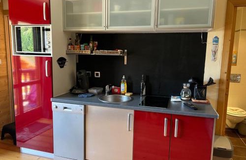 Valloire Apartment | Charmant Studio Cabine 4 Pers, Centre de Valloire, Proche Télécom./Commodités, Casier à Skis/Balcon - FR-1-263-535
