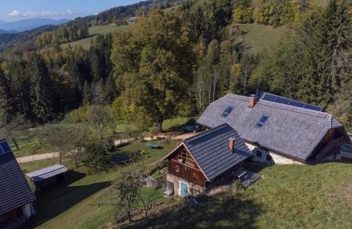Stanz Im Murztal Apartment | Charmante Gästewohnung in altem Bauernhaus in alpiner Alleinlage