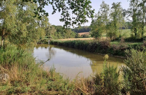 Treal House | Charmante Longère Rénovée aux Portes de Brocéliande - 8 Personnes