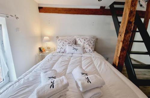 Cartignies House | Charmante maison avec jardin, spa à proximité, idéale pour famille et couple, animaux acceptés - FR-1-510-214