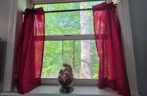 Baxter Cottage | Charming 1-bedroom cottage - That tiny house on Center Hill Lake. Pet friendly!
