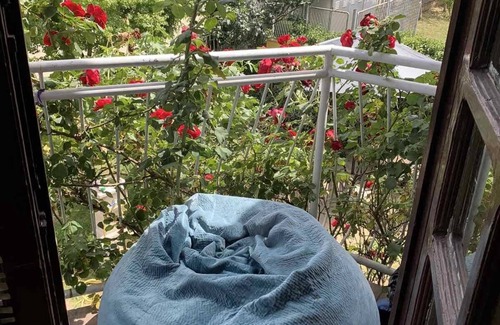 Novi Sad House | Charming 2-bedroom house with WiFi, AC in soothing Sremska Kamenica