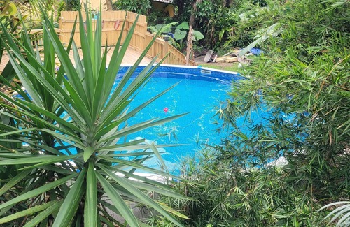 Anclote River Acres House | Charming 2-bedroom hunker bunker. great wildlife