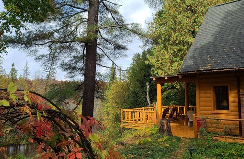 Vanderbilt Cabin | Charming 2-bedroom cabin in delightful Vanderbilt with WiFi, AC