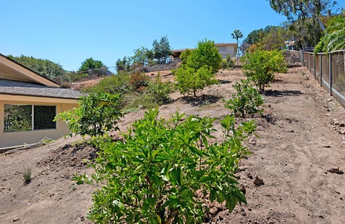 La Mesa Apartment | Charming 2 Room La Mesa Casita w/Pool, BBQ & Yard