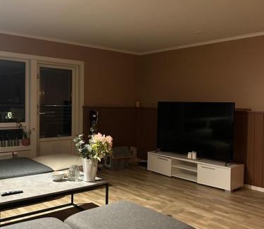 Trondheim Apartment | Charming 3-Bedroom 2-Floor Apartment for Rent in a Relaxing Neighborhood Close to 2025 Ski WC