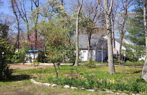 Teaticket House | Charming 4-bedroom house with WiFi and AC in lovely Falmouth