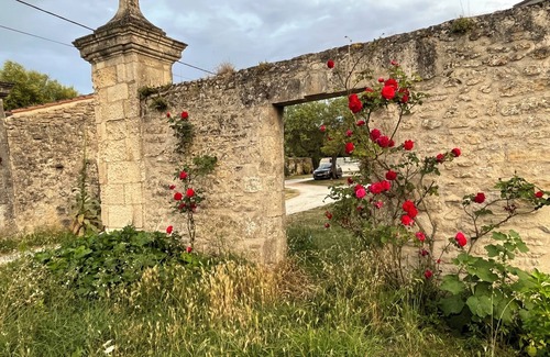 Le Chateau-d'Oleron Apartment | Charming apartment in a 17th century farmhouse, sleeps 4