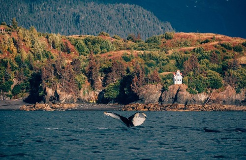 Ismailof Island Cabin | Charming Boathouse Cabin