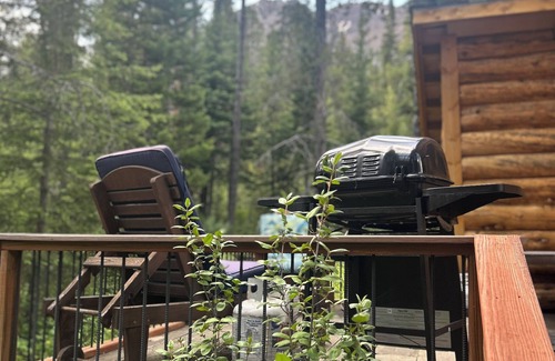 Silver Gate Cabin | Charming cabin with WiFi in Silver Gate/Cooke City