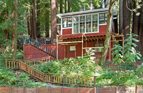Mount Hermon Cabin | Charming & colorful cabin with a furnished deck & forest views - dog-friendly