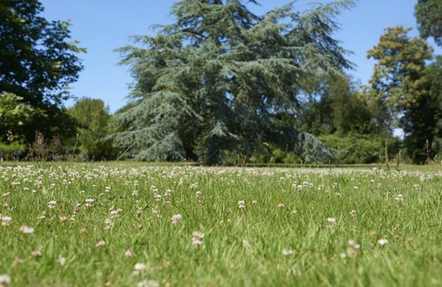 Saint-Quay-Perros House | Charming cottage on the heights of Perros-Guirec & Ploumanac'h