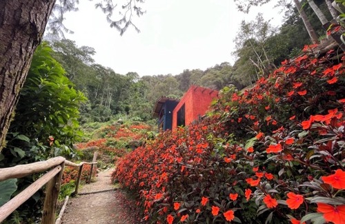 Bucaramanga Cottage | Charming cottage Montserrat in the mountains Fabulous Floridablanca with WiFi