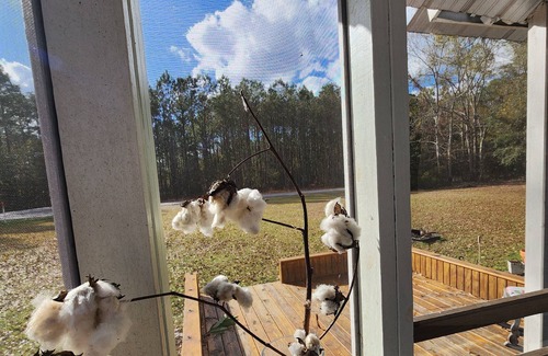 Rincon House | Charming Country Duplex House Just 18mi from Vibrant Downtown Savannah!