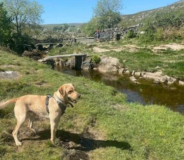 Austwick House | Charming dog-friendly Yorkshire Dales Cottage, Austwick