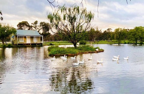 Dubbo Cottage | Charming farm cottage close to Dubbo