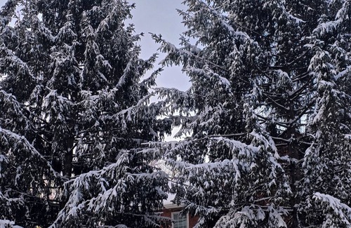 Greencastle Other | Charming farmhouse built in 1780. 2 ski resorts only 16 and 21 miles away.