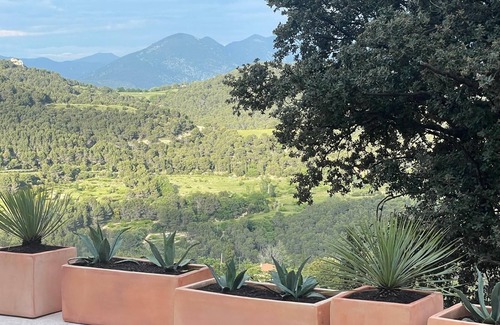 Suzette House | Charming house in the Dentelles de Montmirail. Ideal for recharging your batteries!