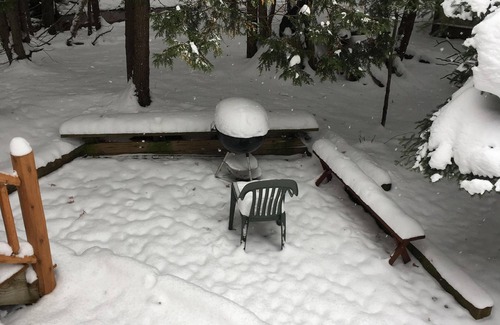 Boyne Falls Cabin | Charming Log House with WIFI Steps Away from Boyne River and enhanched cleaning.