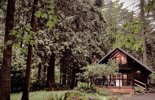Welches Ski Chalet | Charming Mt Hood Chalet, minutes to Mt fun! Woodsy feel.