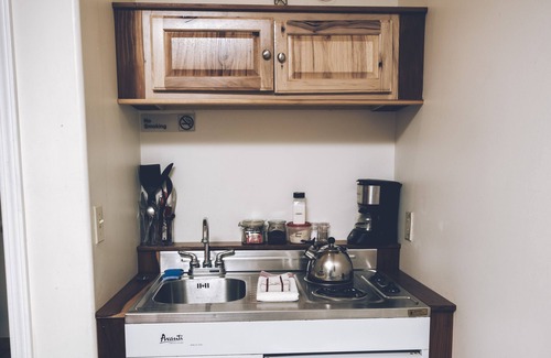 Crestone Apartment | Charming Park Side Hotel Room 1