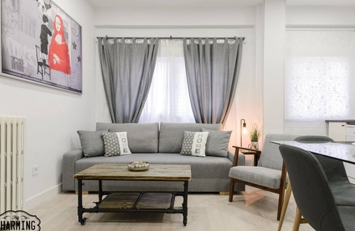 Las Acacias Apartment | Charming Puerta de Toledo, Newly renovated, 2 bedrooms, next to Puerta de Toledo
