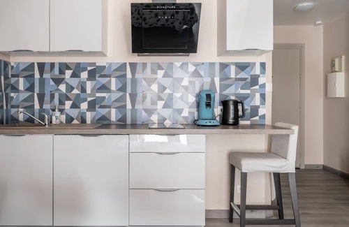 Mulhouse Apartment | Charming Standing Studio HISTORIC CENTER#