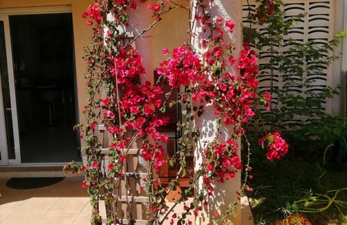 Ajaccio Apartment | Charming T2 with terrace and small garden