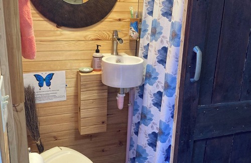 Sarasota Springs Cottage | Charming tiny house with AC and WiFi in delightful Sarasota.Private and quiet.