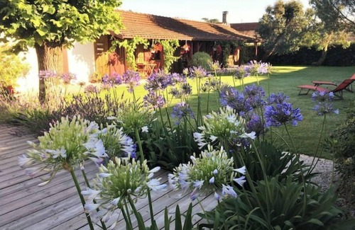 Gujan-Mestras Villa | Charming villa and outbuilding 10 pers 5 Bedrooms 3 bathrooms, 15mn from the beach