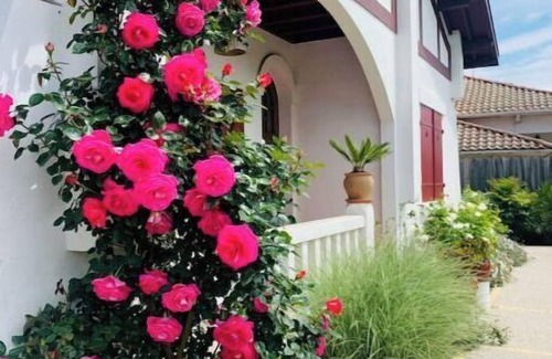 Gujan-Mestras Villa | Charming villa and outbuilding 10 pers 5 Bedrooms 3 bathrooms, 15mn from the beach
