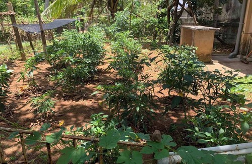 Ambalangoda Villa | Charming villa with 1 bed room WiFi,AC in lovely Ambalangoda,10min walk to beach